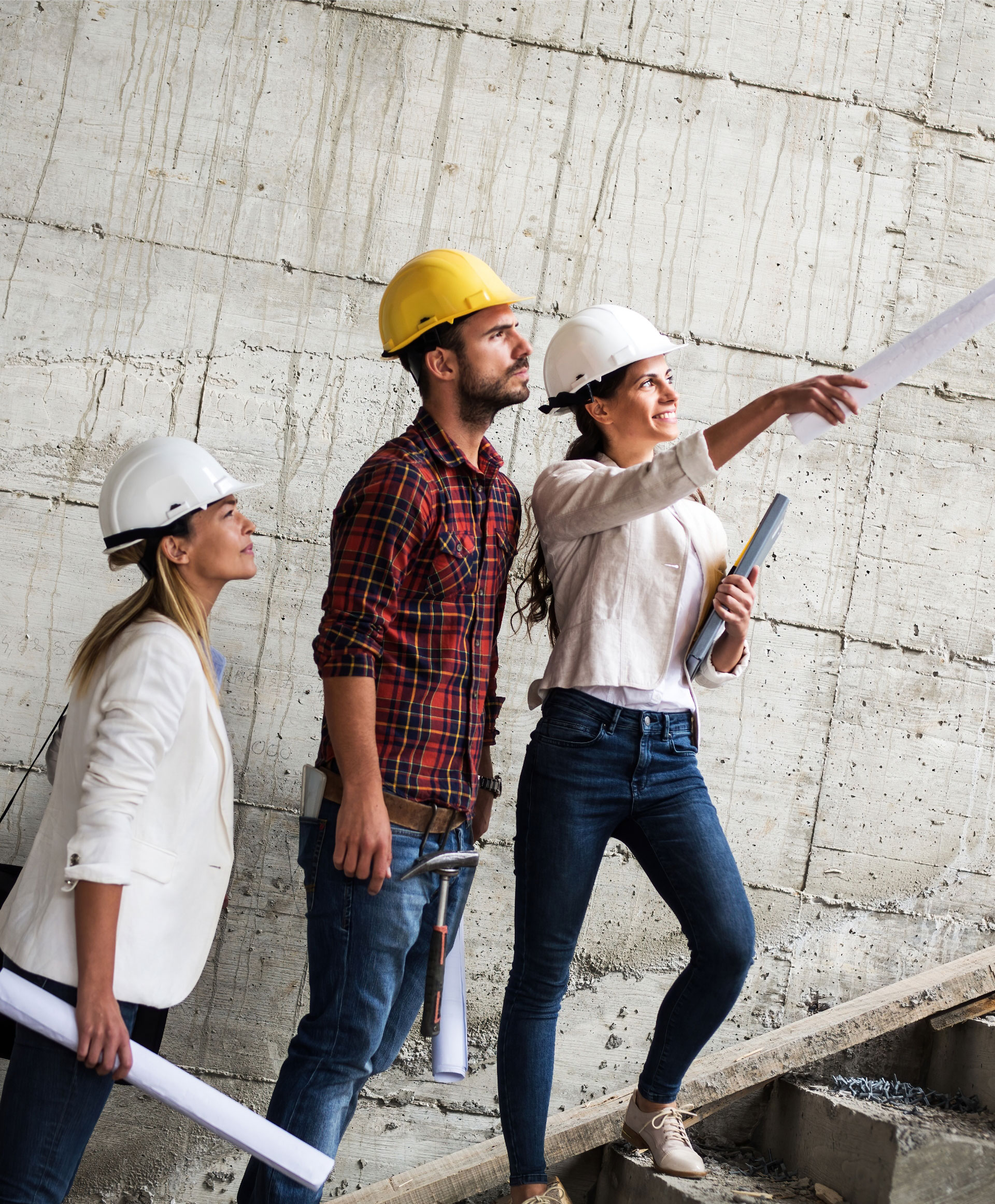 accompagnement conseil équipe taïga